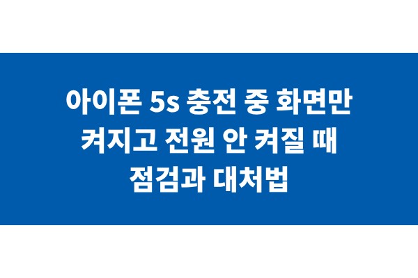 title_1771023804_2022